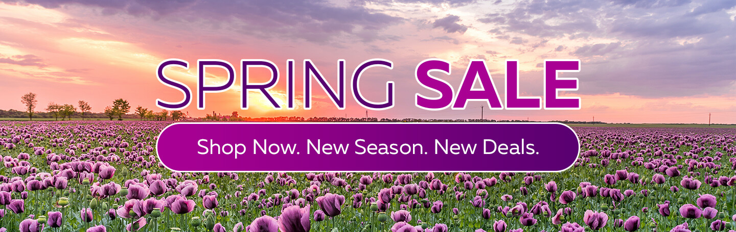 spring sale