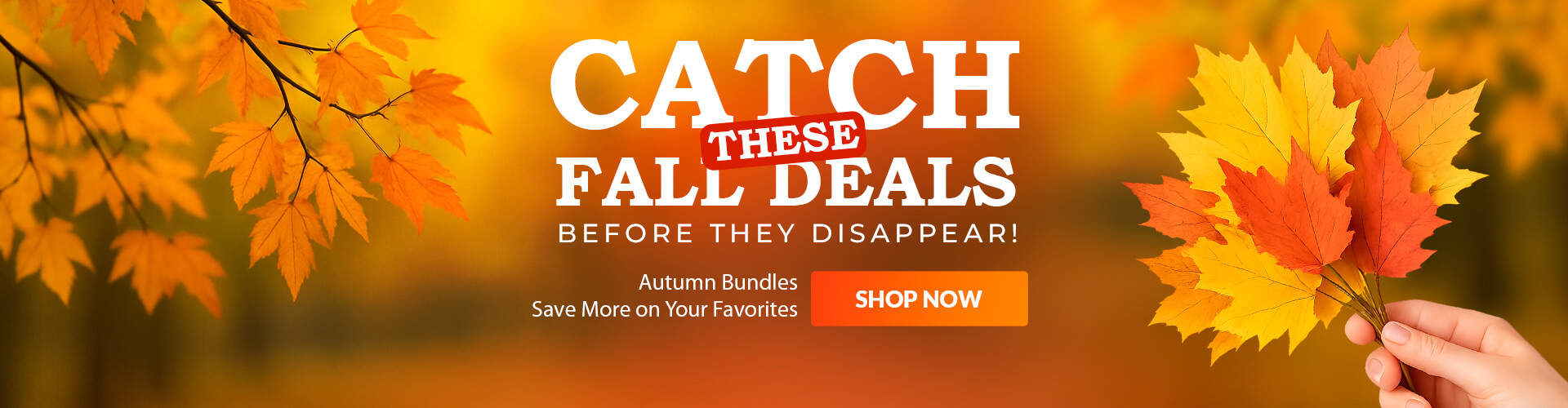Fall Sale