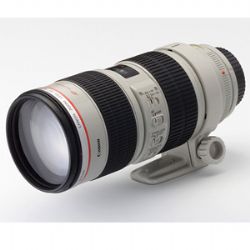 Canon 70-200mm f/2.8L USM Telephoto Zoom Lens 2569A004