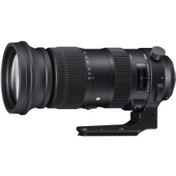 Sigma 60-600mm f/4.5-6.3 DG OS HSM Sports Lens for Nikon F
